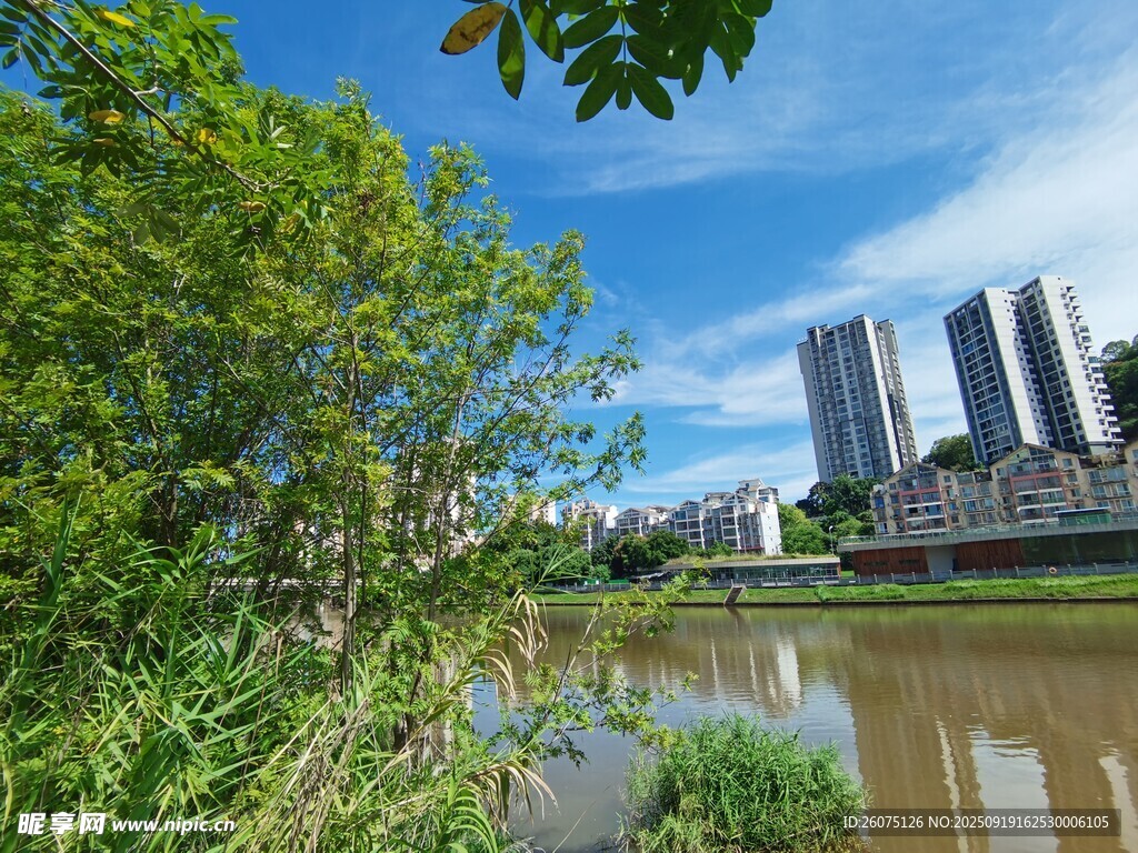 河畔綠植與城市高樓景觀