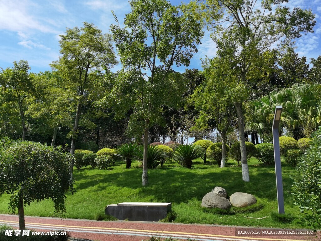 城市中的靜謐綠意公園
