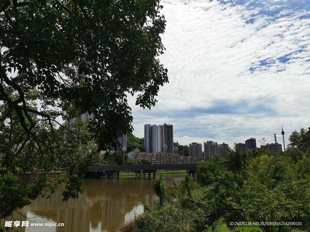 河畔綠樹掩映的城市風(fēng)景