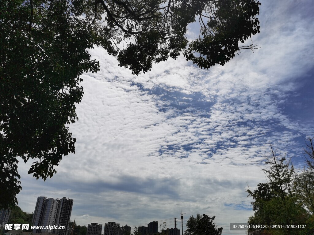 藍(lán)天白云下的綠樹與城市景