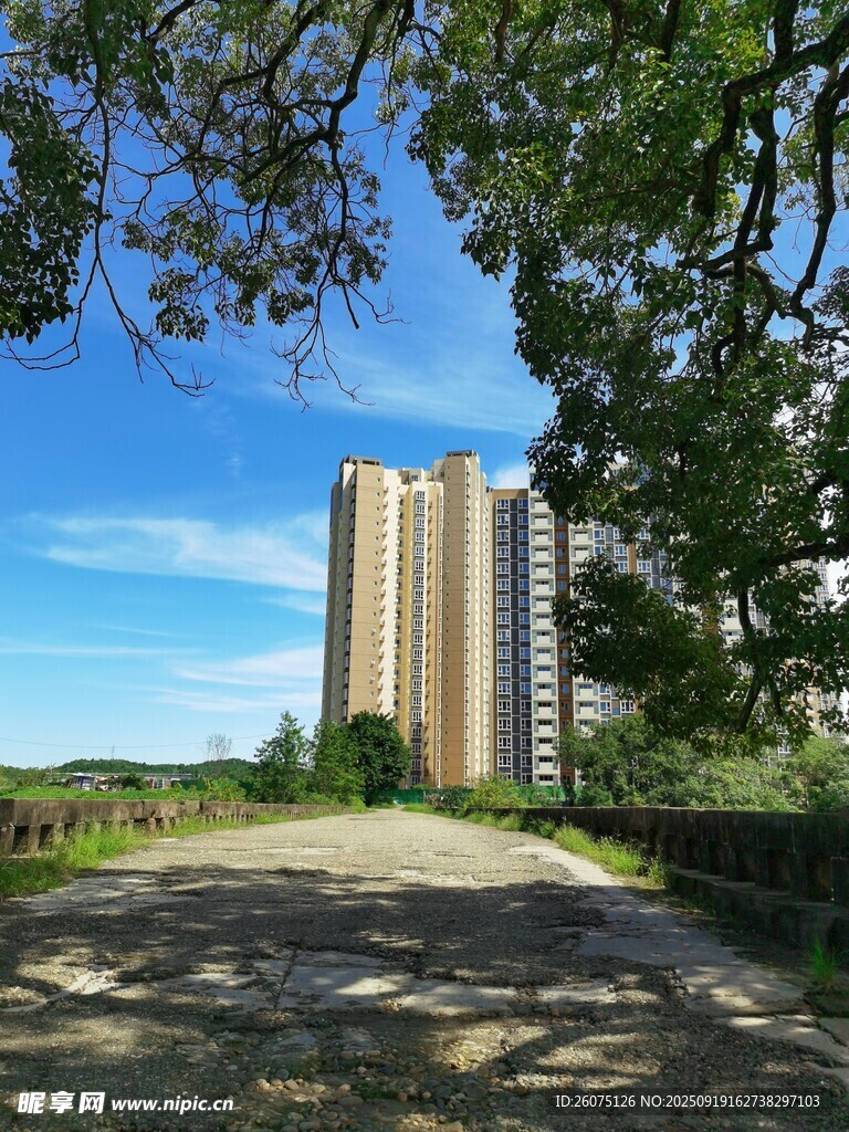 綠樹環(huán)繞的高層住宅樓