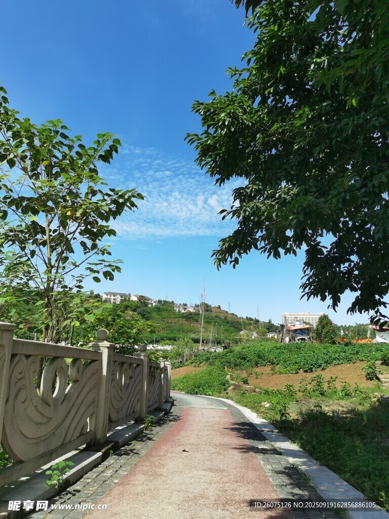 鄉(xiāng)間小路綠意盎然的風(fēng)景