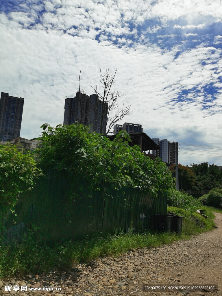 古老城堡旁的綠意小徑