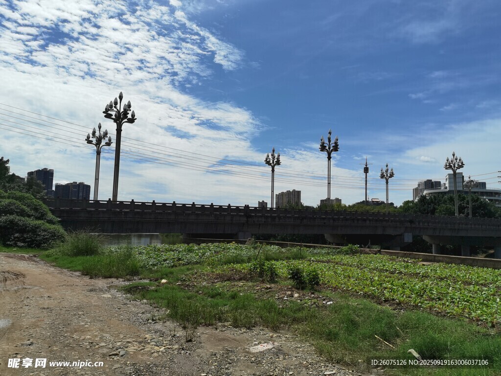 古城墻旁的特色路燈景觀