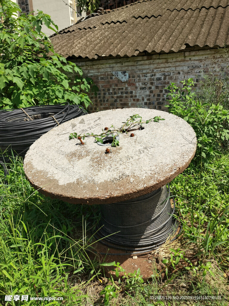 廢棄戶外線軸置于雜草間
