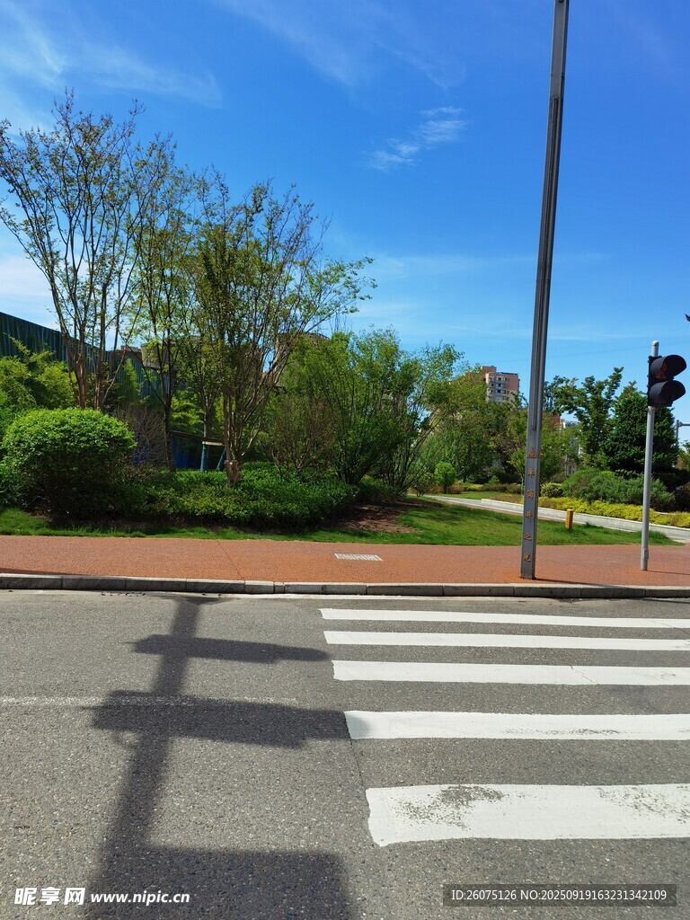 城市街道旁的綠化景觀