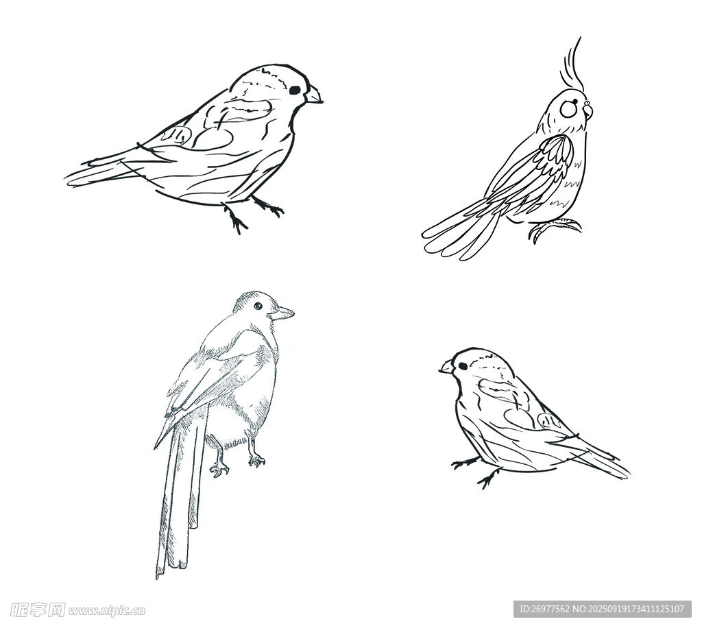  鳥剪影