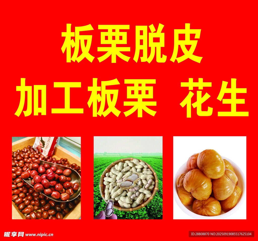 板栗
