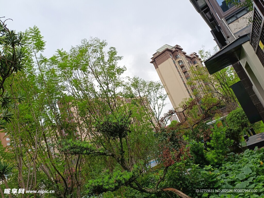 城市中繁茂綠植與高樓景觀