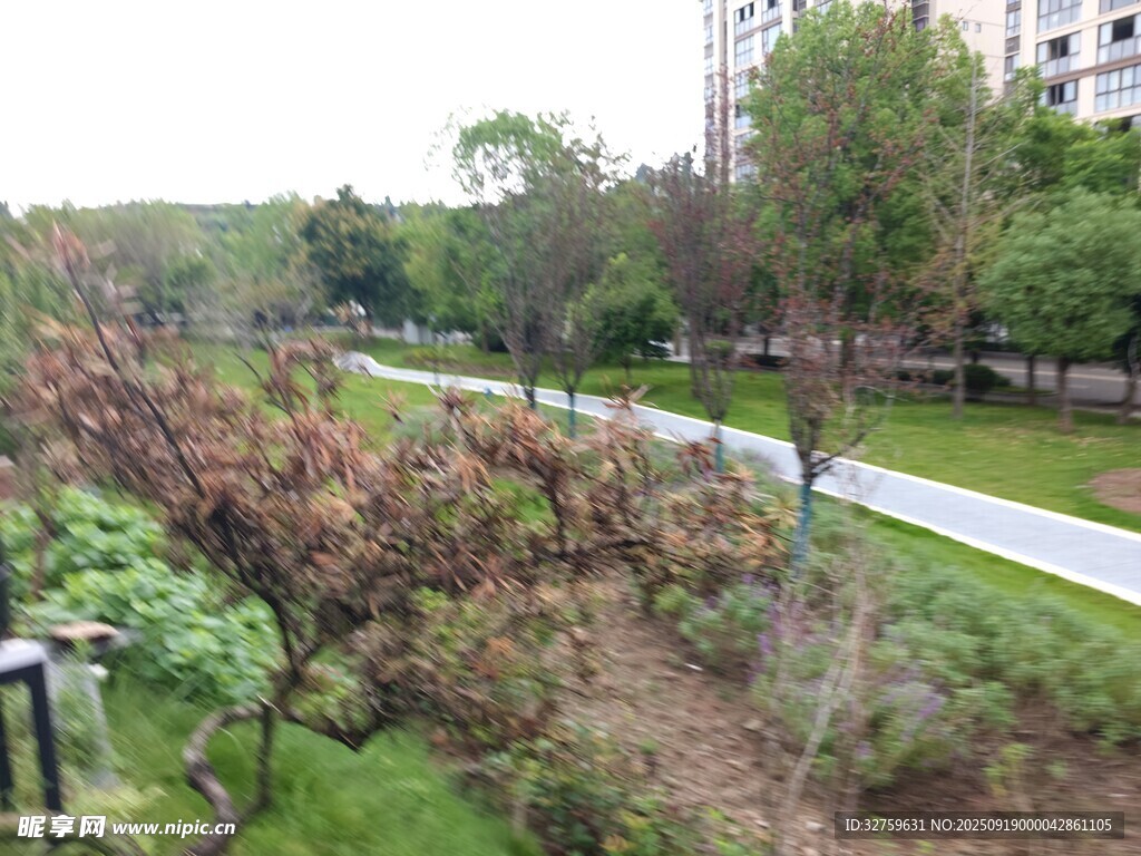城市中的靜謐綠植景觀