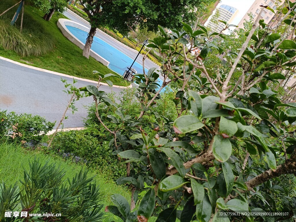 小區(qū)綠植景觀一角