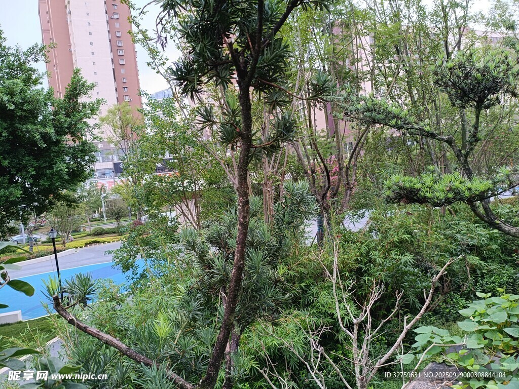 小區(qū)綠植景觀