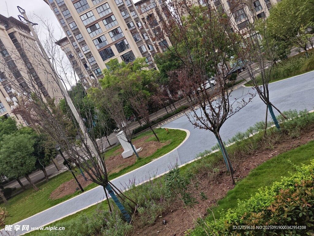 城市中蜿蜒的綠化道路