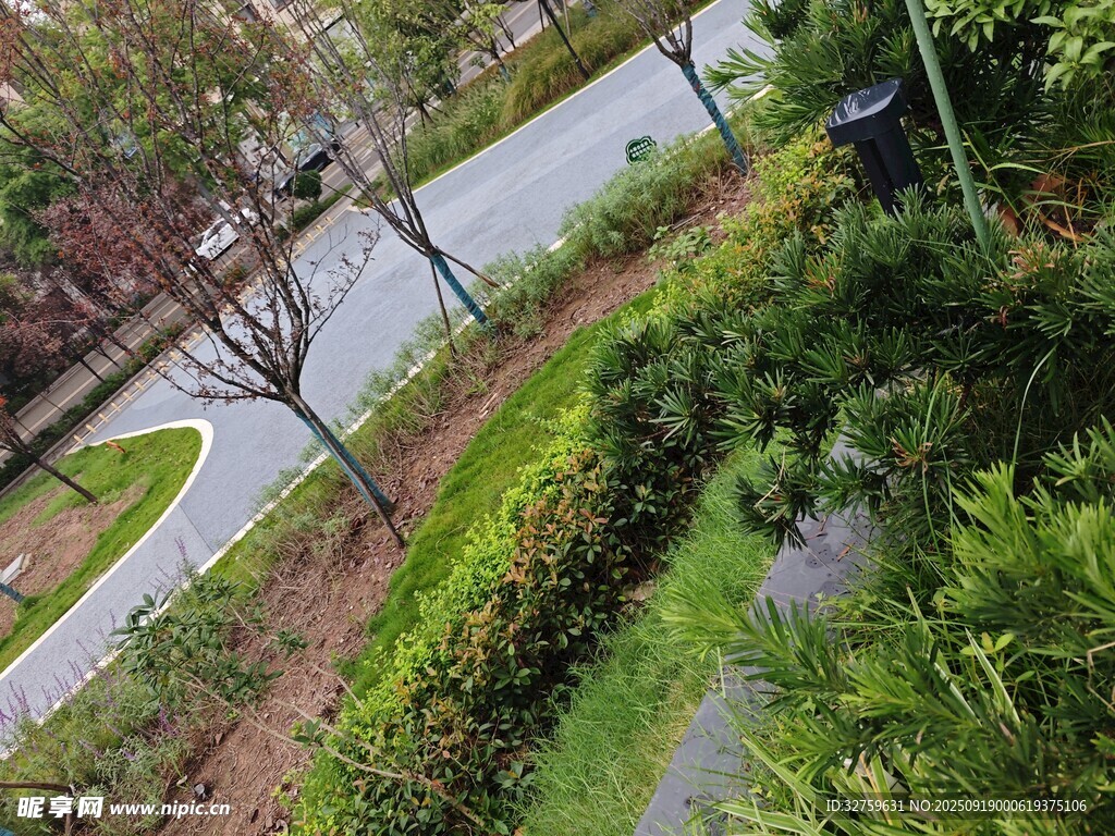 俯瞰城市綠化景觀