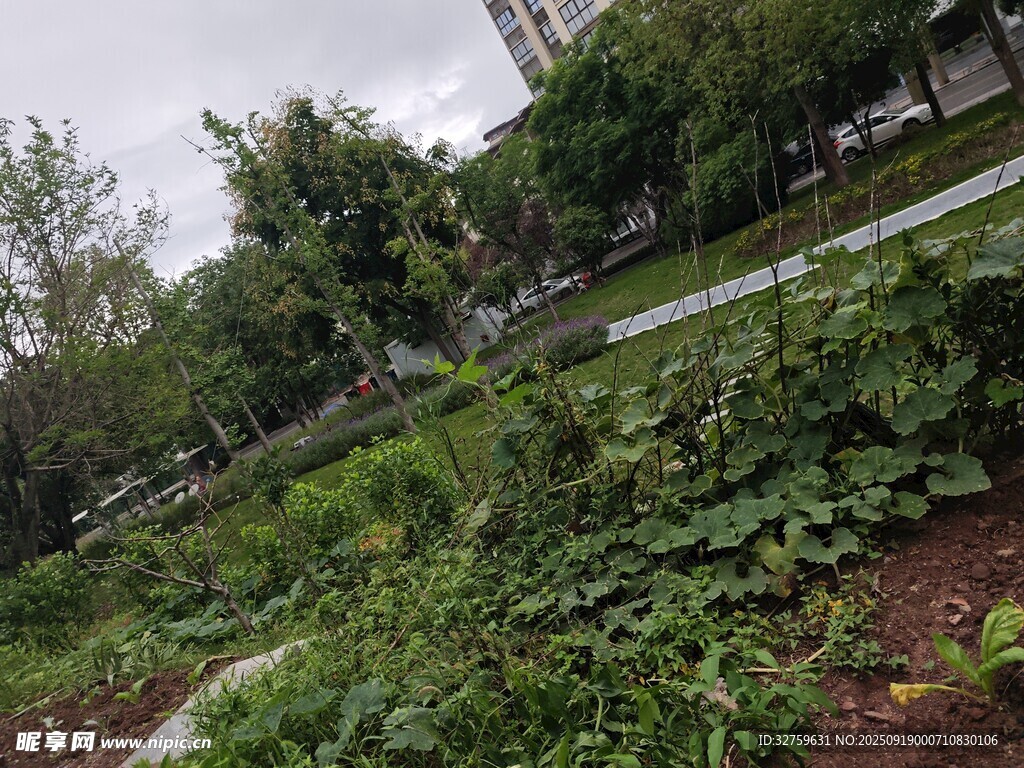 城市中的綠植景觀