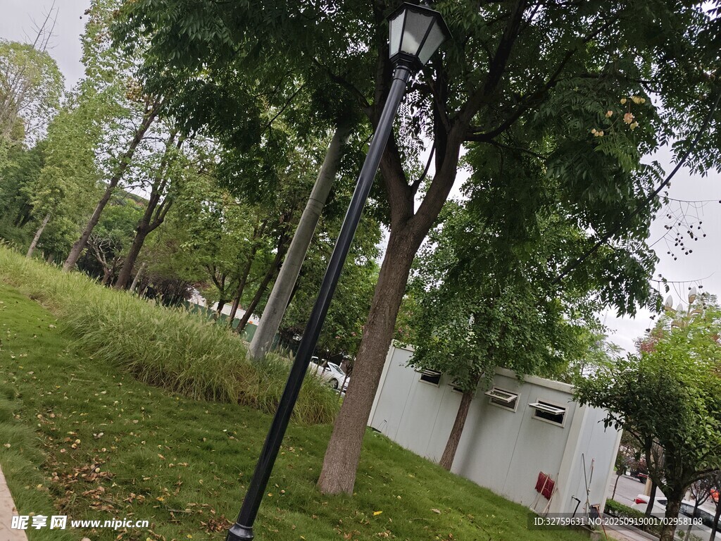 公園中的路燈與綠樹