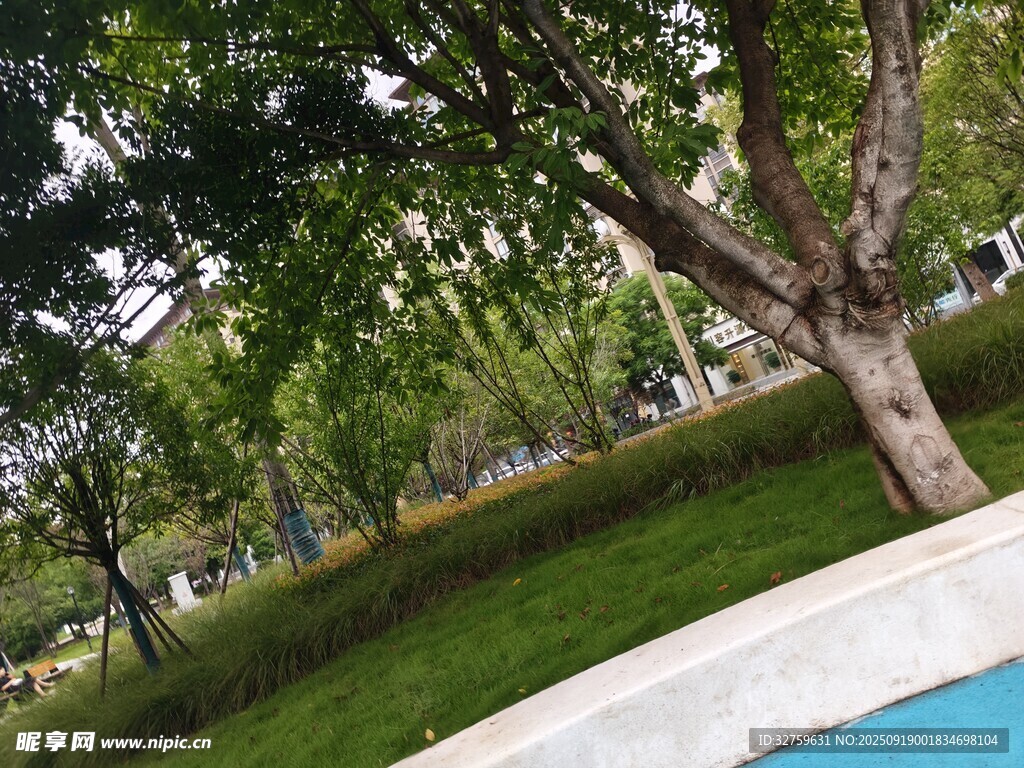 公園綠樹環(huán)繞的休閑場景
