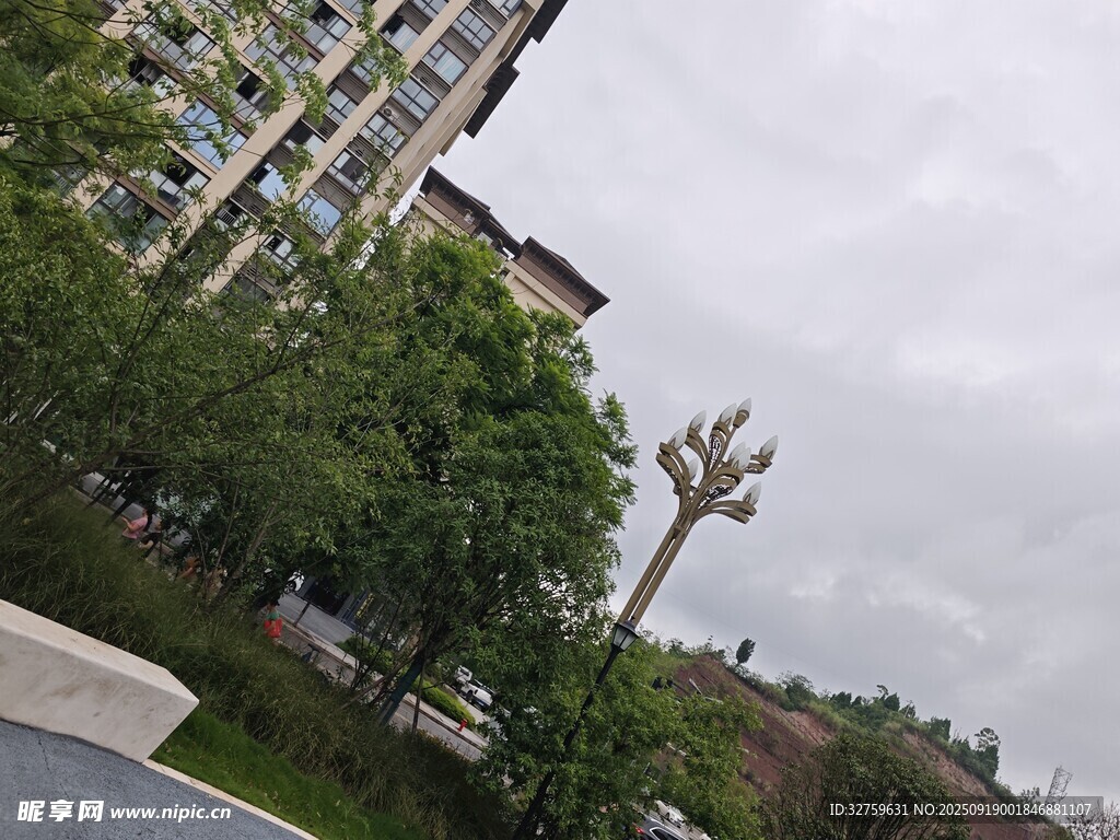 城市街道旁的綠植與建筑