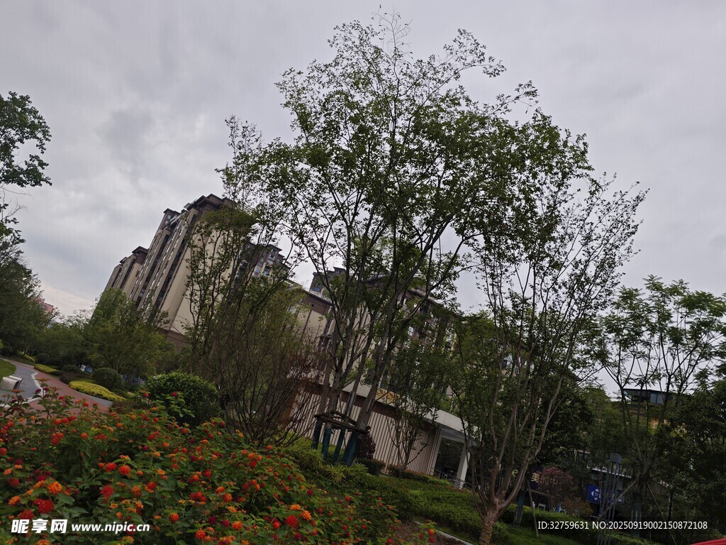 雨中花園與建筑景觀