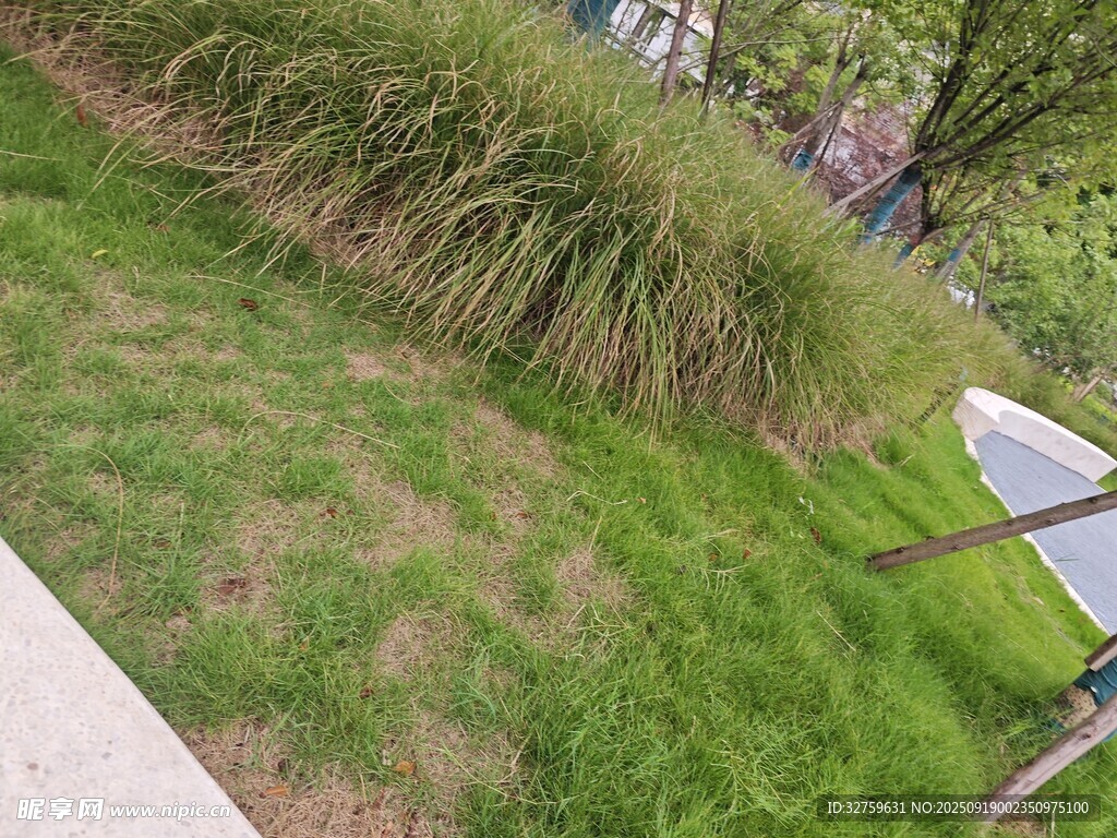 城市中蔥郁的草地景觀
