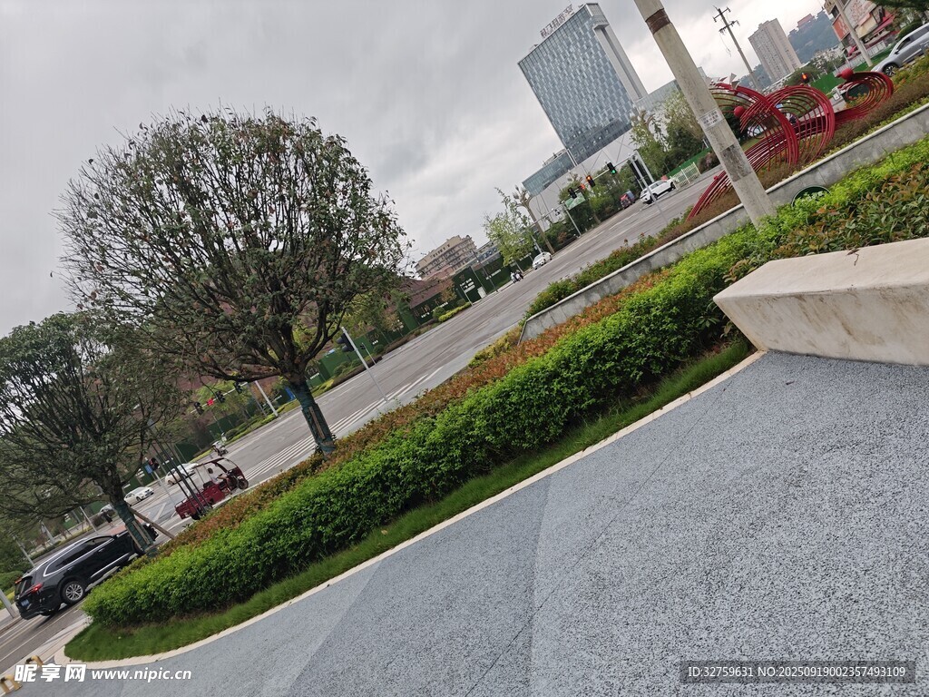 城市道路旁的綠植景觀