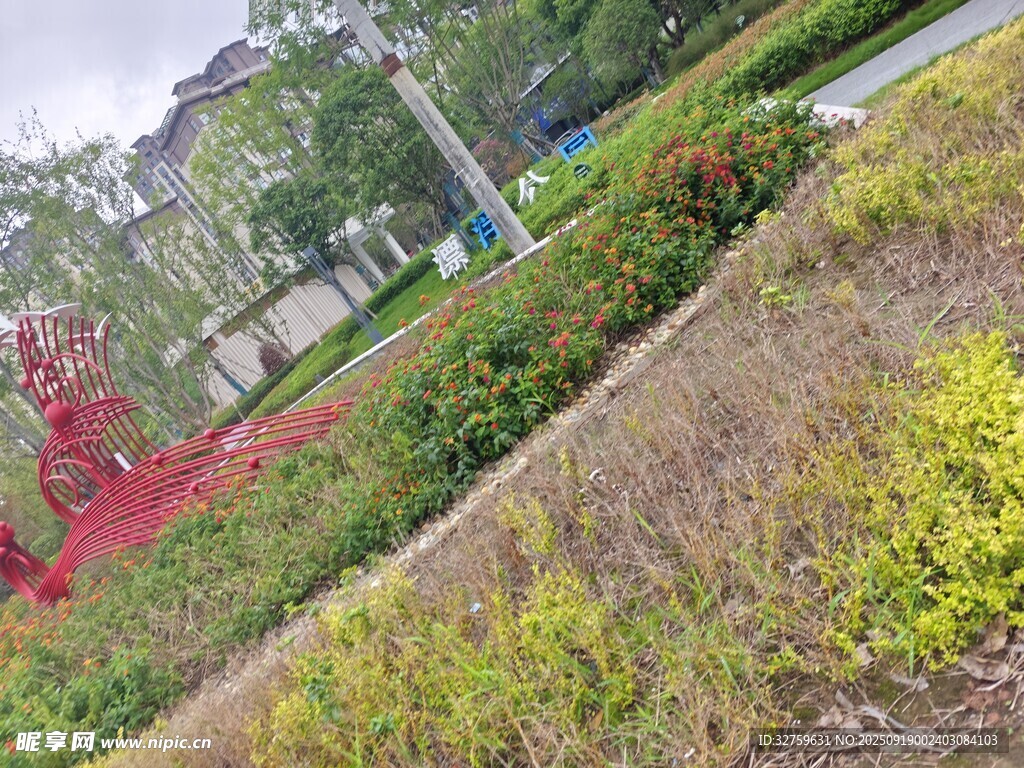 戶外多彩植物景觀
