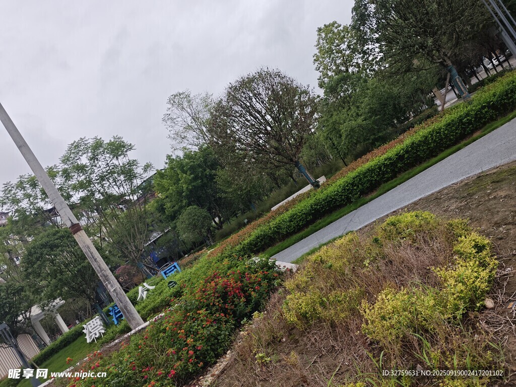 城市路邊綠植景觀