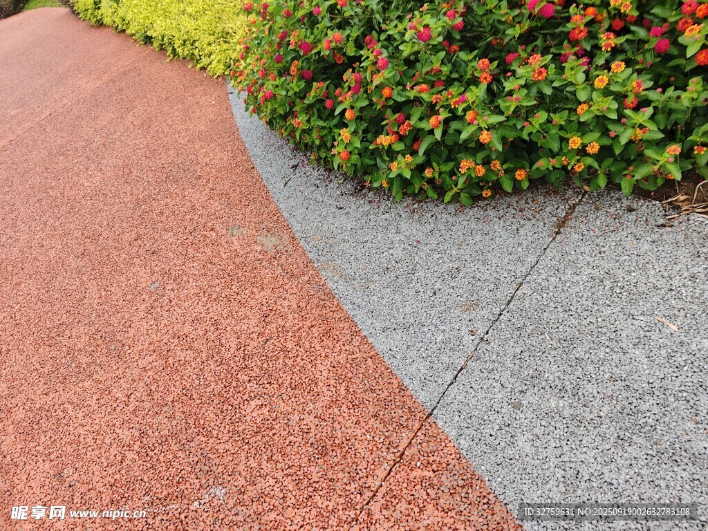 彩色透水路面與綠植景觀