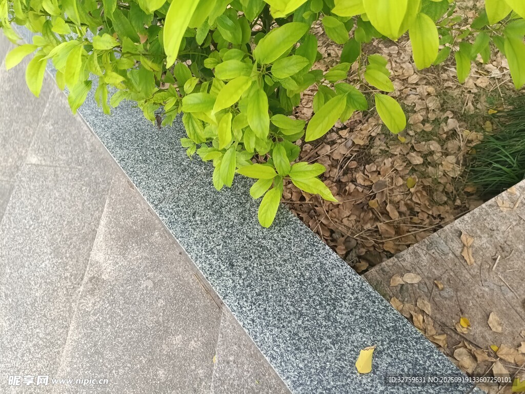 路邊綠植與灰色石邊景觀