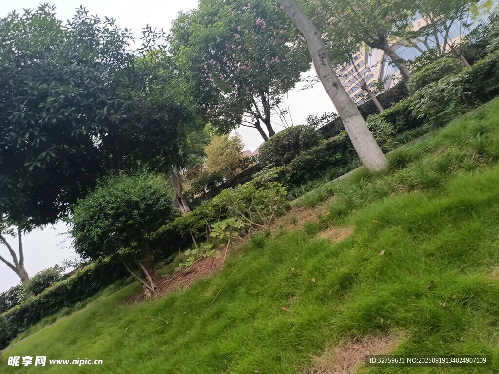 綠意盎然的戶外園林景觀