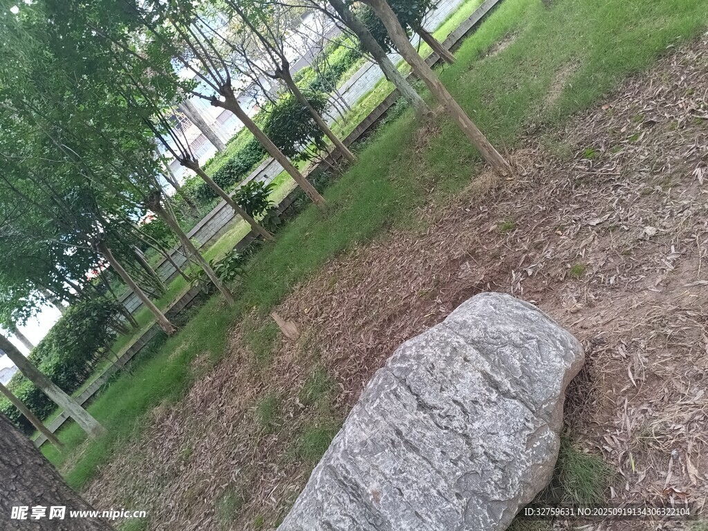 公園草地旁的灰色大石