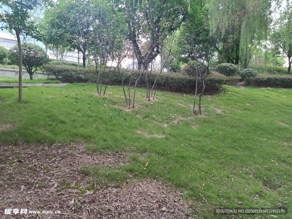 綠意盎然的戶(hù)外園林景觀