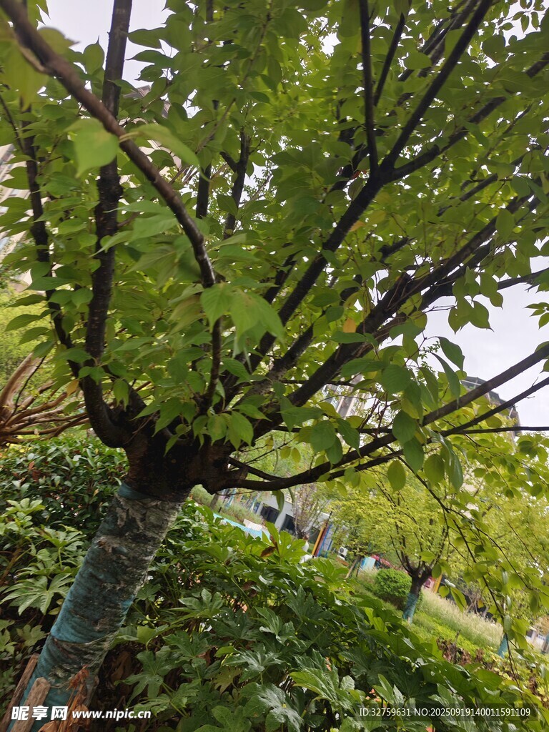 還是