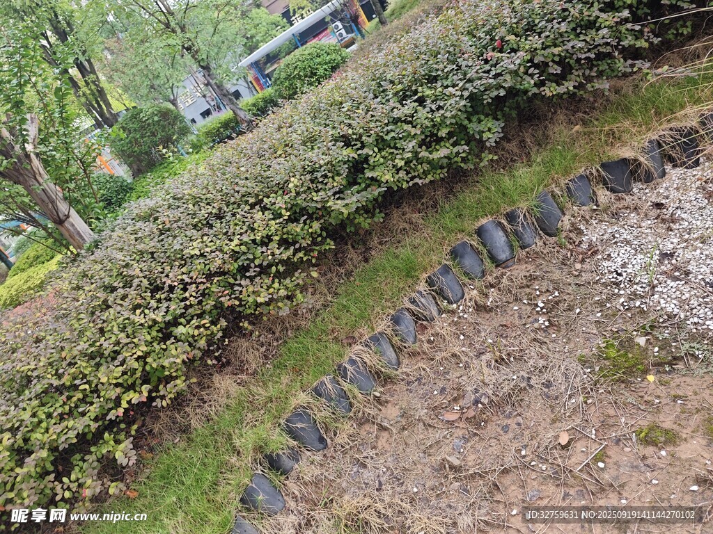園林綠植與石砌邊界景觀