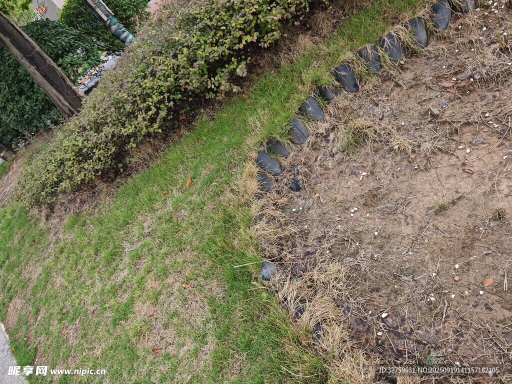庭院草地與裸露泥土景觀