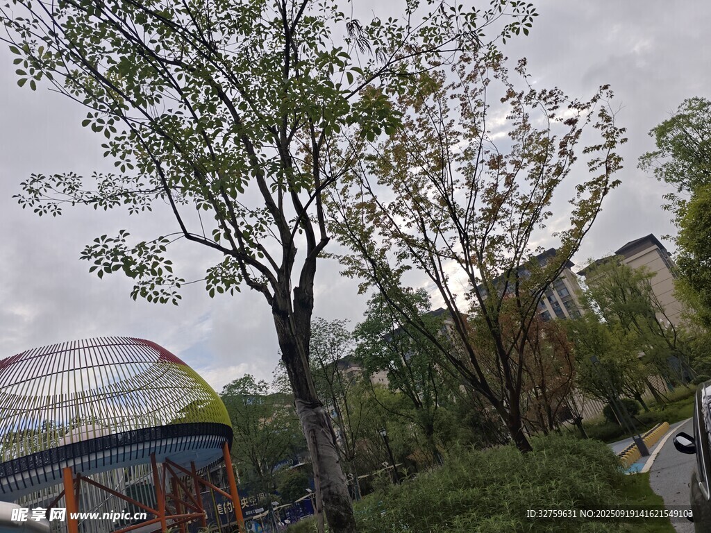 戶外綠樹(shù)與建筑景觀