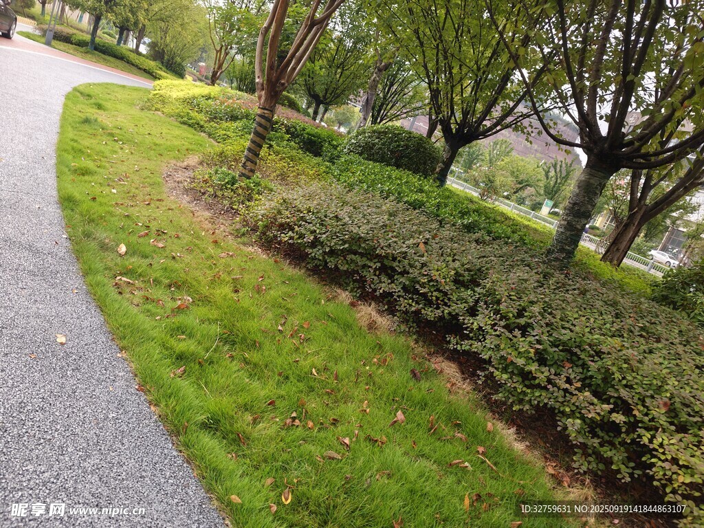公園蜿蜒小徑與綠植景觀