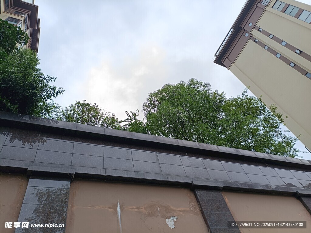 屋頂視角下的綠樹與建筑