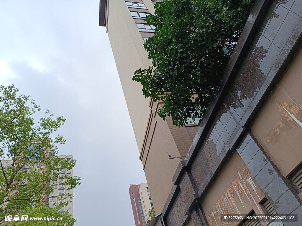 城市建筑旁的綠植景觀