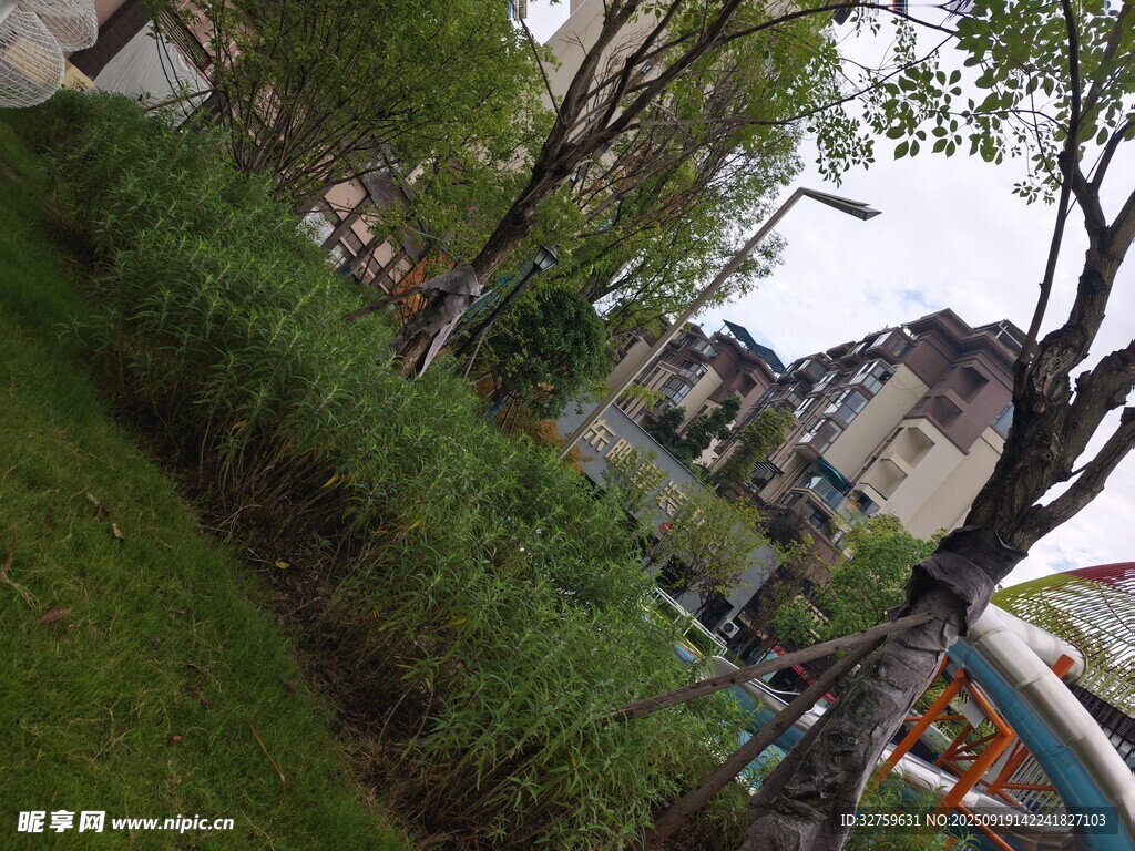 城市中的綠植與建筑景觀