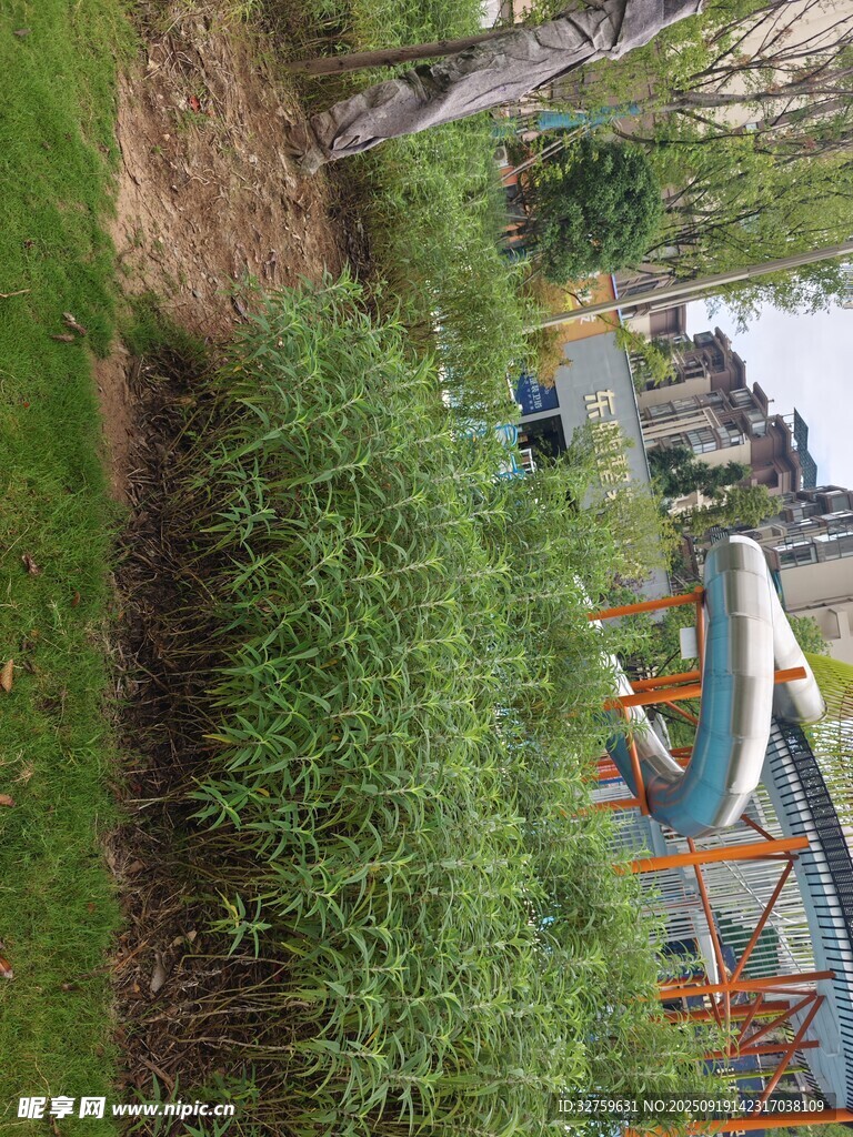 戶外綠植環(huán)繞的游樂設(shè)施