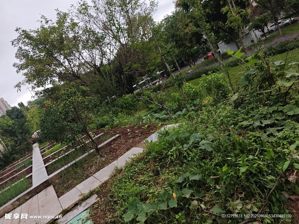 城市中蔥郁的綠植景觀