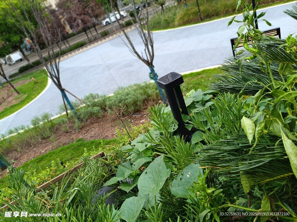 戶外綠植中的黑色燈具