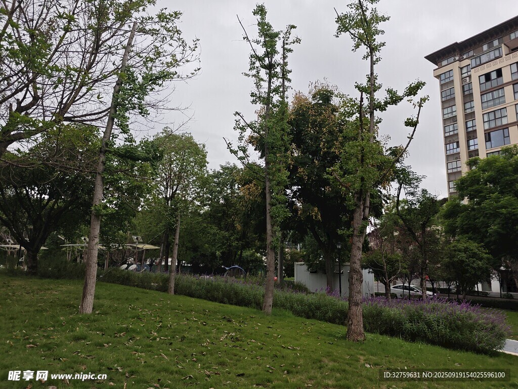 城市中的綠意公園景觀
