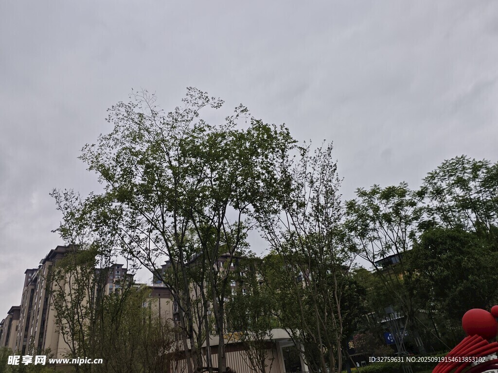 戶外樹木與建筑景觀