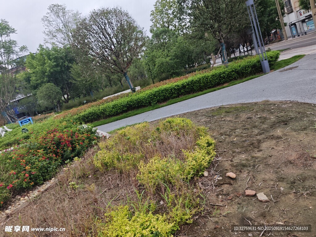 公園綠植景觀