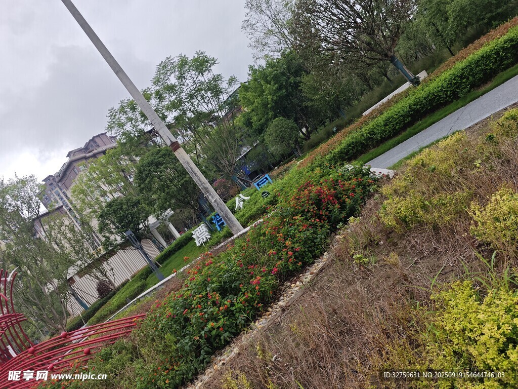 城市街邊多彩綠植景觀