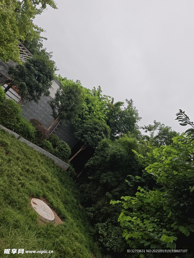 綠意盎然的戶外自然景觀