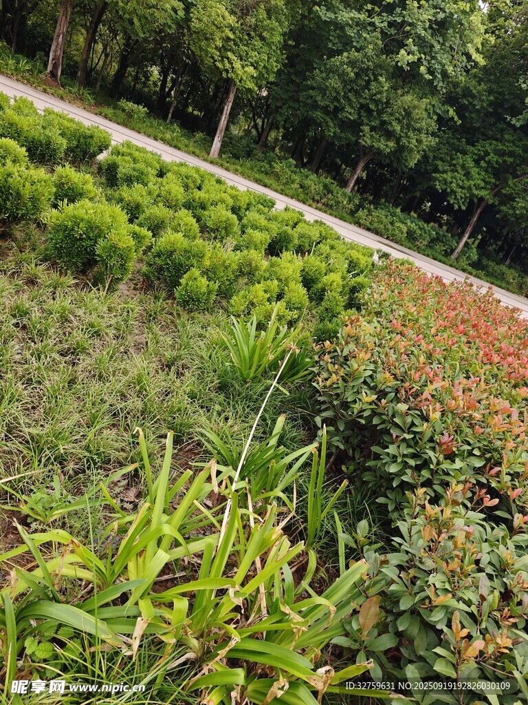 多彩綠植景觀