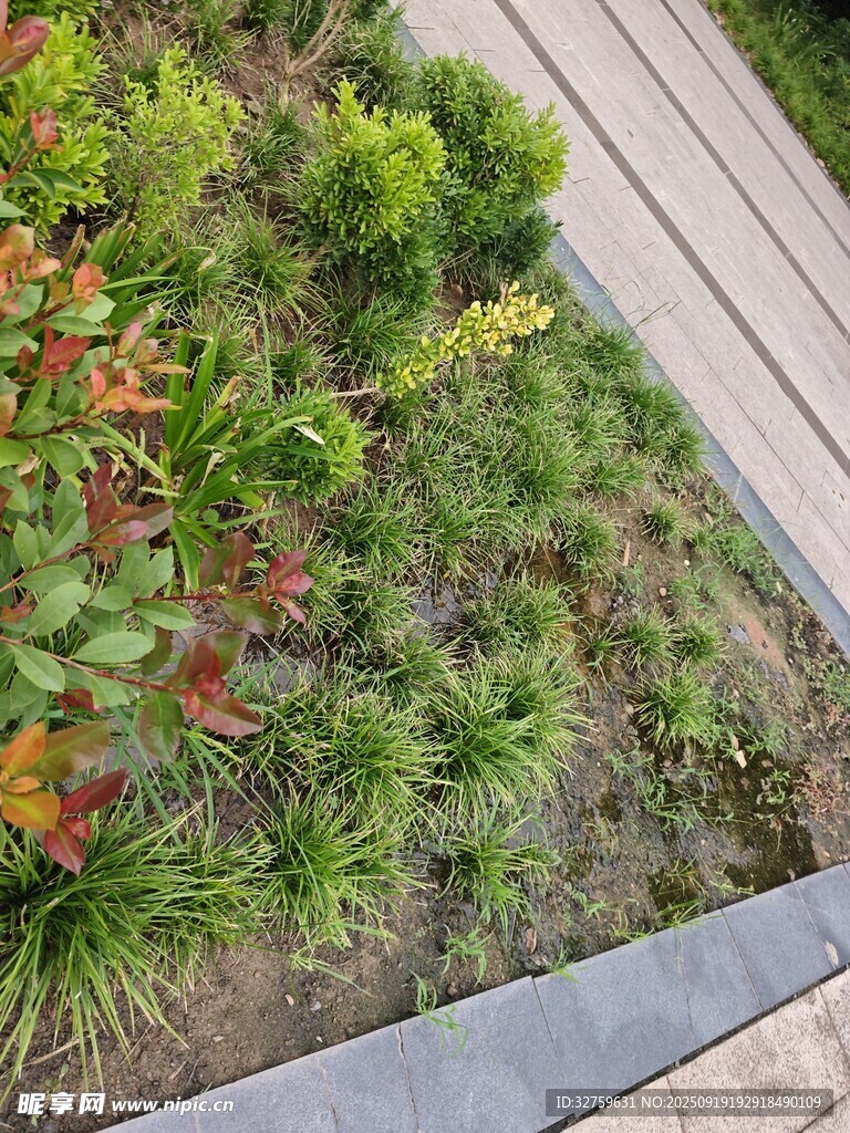 庭院綠植景觀一角